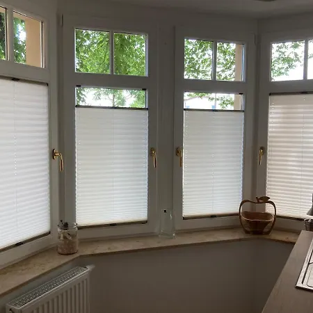 Premium * 德累斯顿